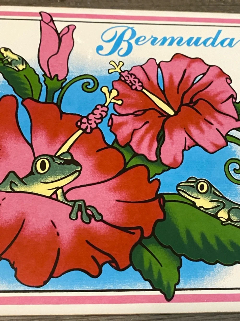 Hibiscus Frog Decorative Tile